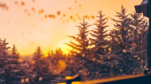 Coming home to ourselves