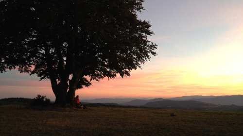 A winter's day in Lerab Ling