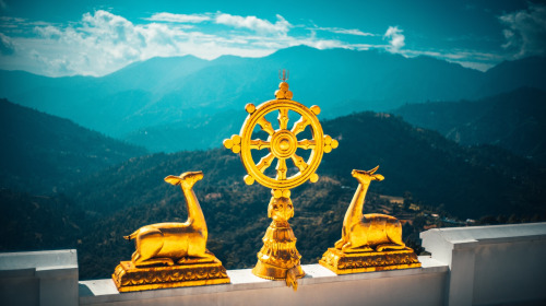 Don't be patient with samsara