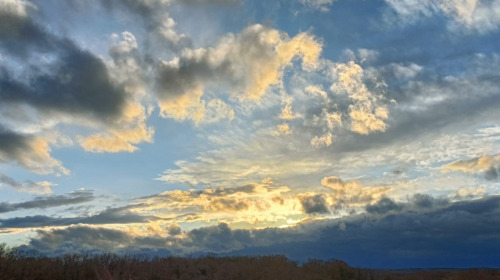 The four seals encapsulate the Buddhist view