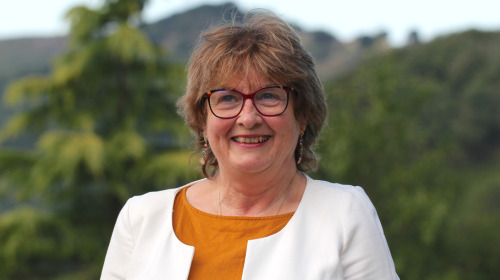 A guided practice: Becoming aware of what makes up our body